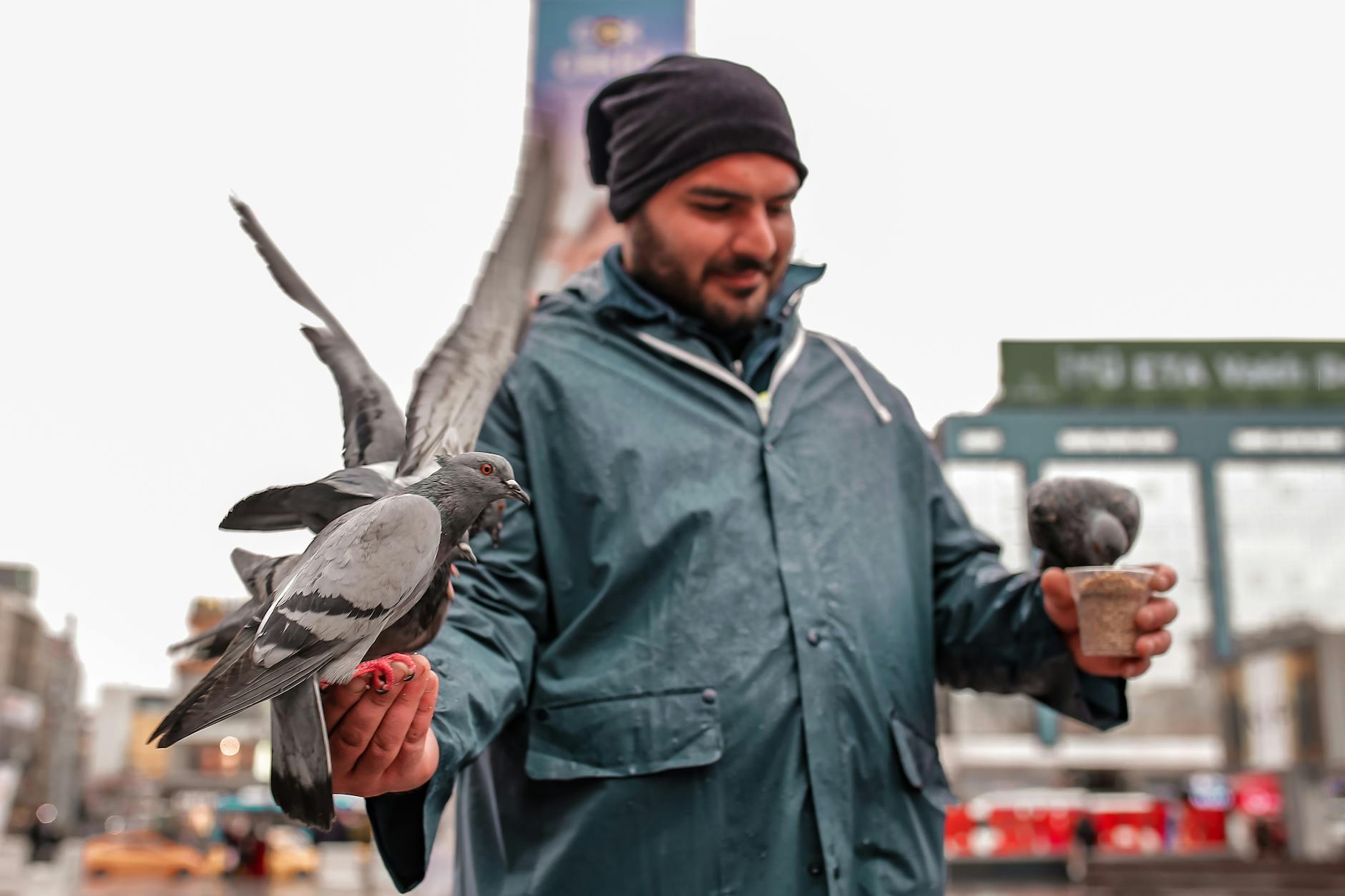 testimonials